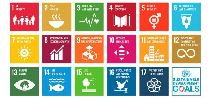 Image shows the 17 UN SDGs.